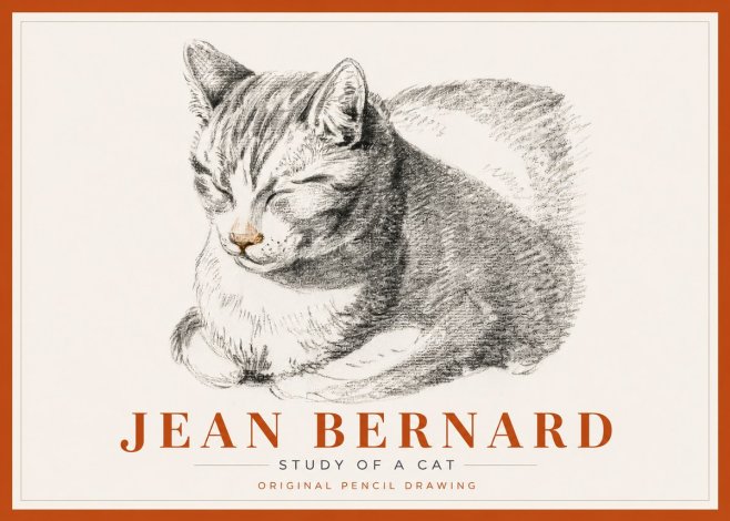 Jean Bernard Sleeping Cat VI No6 - Juliste