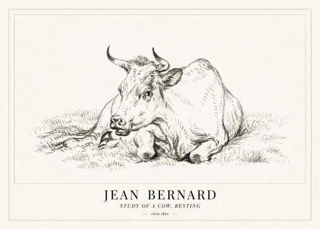 Jean Bernard Study of a Cow, Resting No1 - Juliste