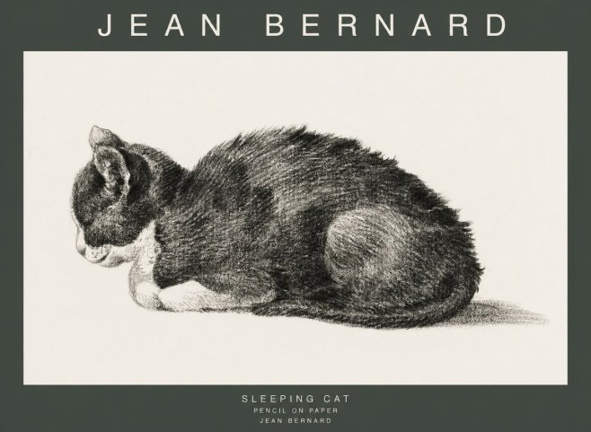 Jean Bernard Sleeping Cat VII No1 - Juliste