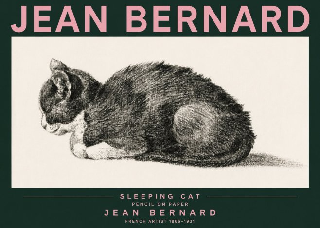 Jean Bernard Sleeping Cat VII No3 - Juliste