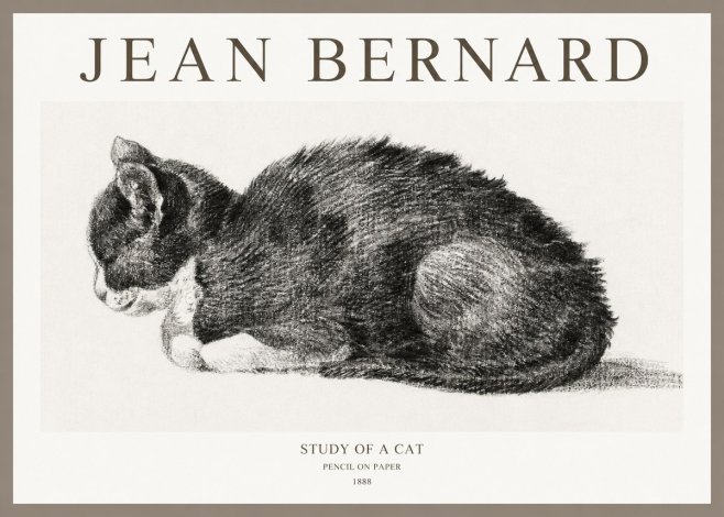 Jean Bernard Sleeping Cat VII No6 - Juliste