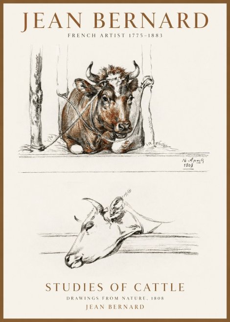 Jean Bernard Studies of Cattle III No1 - Juliste