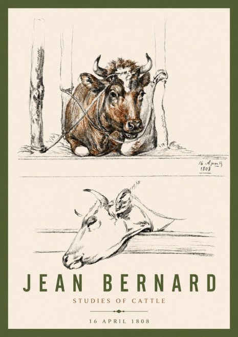 Jean Bernard Studies of Cattle III No4 - Juliste