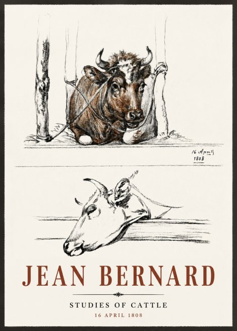 Jean Bernard Studies of Cattle III No6 - Juliste