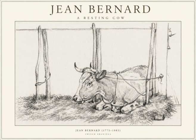 Jean Bernard A Resting Cow No1 - Juliste