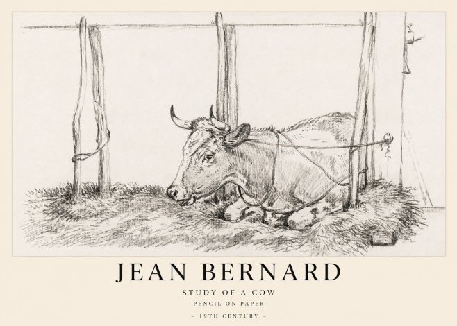 Jean Bernard A Resting Cow No2 - Juliste