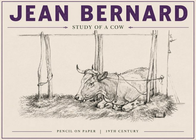 Jean Bernard A Resting Cow No6 - Juliste