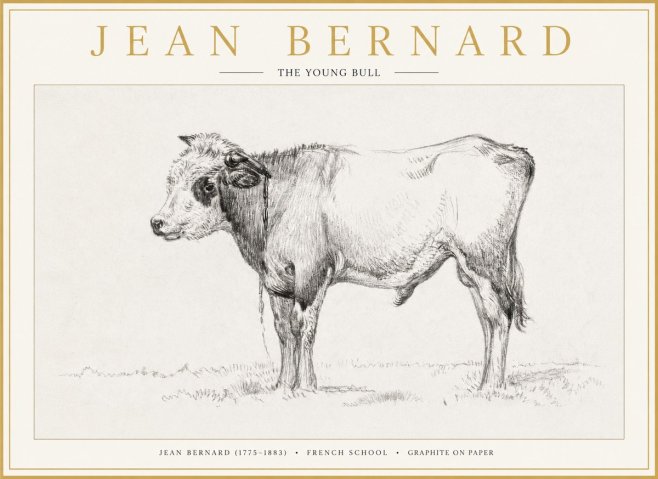 Jean Bernard The Young Bull No1 - Juliste
