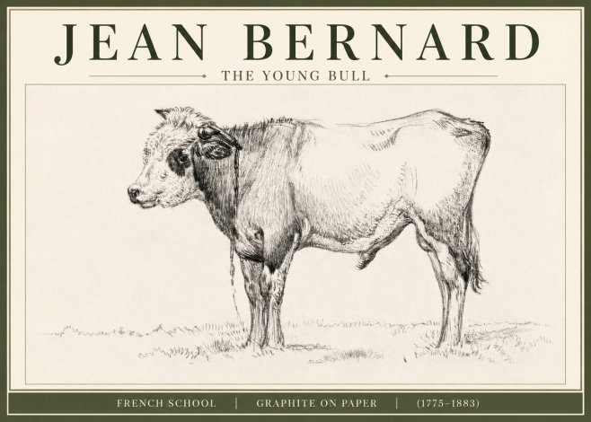 Jean Bernard The Young Bull No3 - Juliste