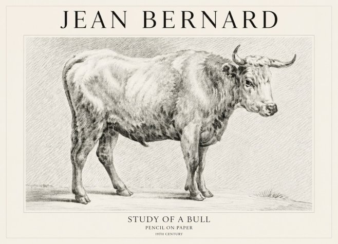 Jean Bernard Study of a Bull IV No1 - Juliste