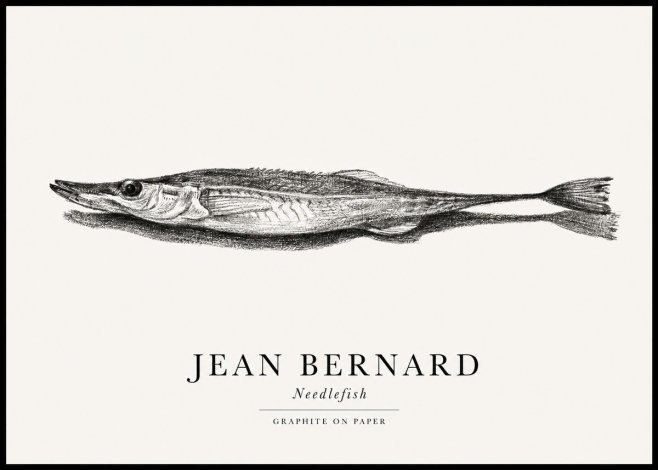 Jean Bernard Needlefish No1 - Juliste