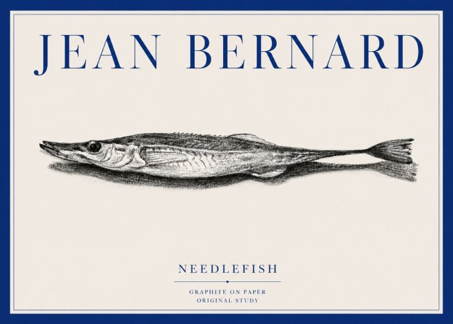 Jean Bernard Needlefish No3 - Juliste