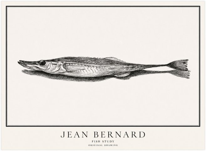 Jean Bernard Needlefish No5 - Juliste