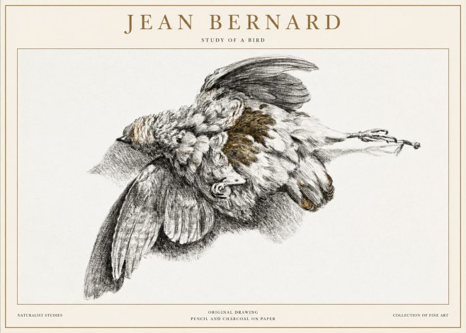 Jean Bernard Study of a Bird III No1 - Juliste