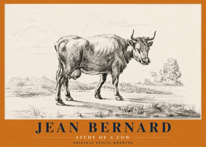Jean Bernard Study of a Cow XII No2 - Juliste