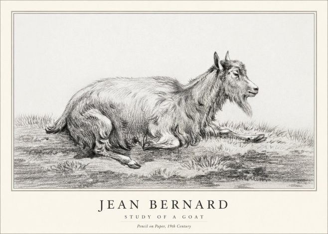 Jean Bernard Study of a Goat V No1 - Juliste