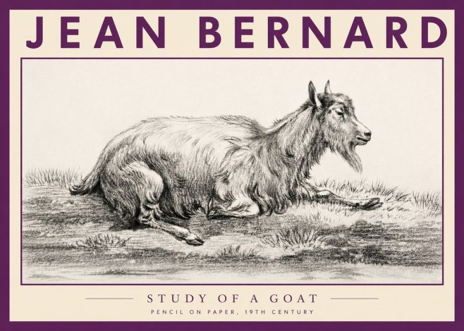 Jean Bernard Study of a Goat V No3 - Juliste