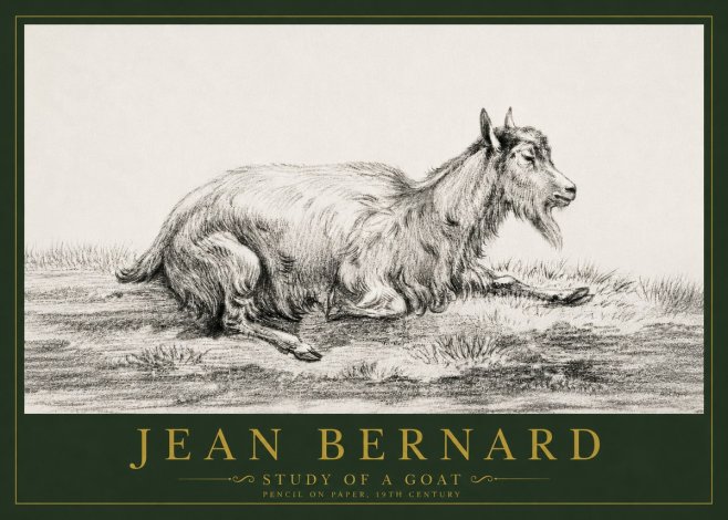 Jean Bernard Study of a Goat V No4 - Juliste