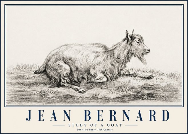 Jean Bernard Study of a Goat V No5 - Juliste