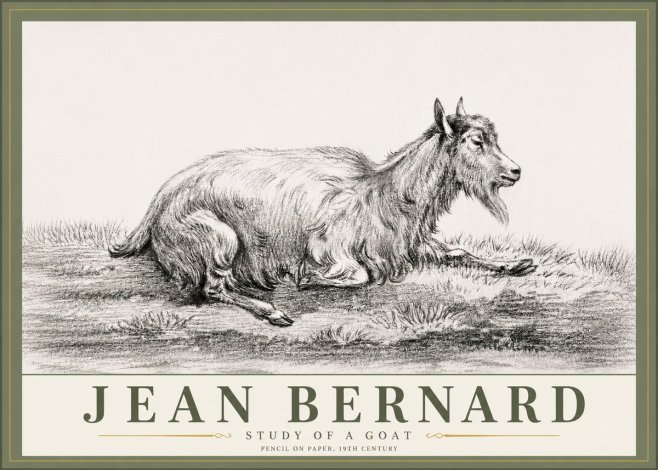 Jean Bernard Study of a Goat V No6 - Juliste