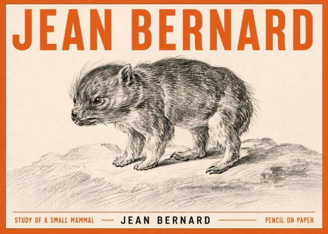 Jean Bernard Study of a Small Mammal No3 - Juliste