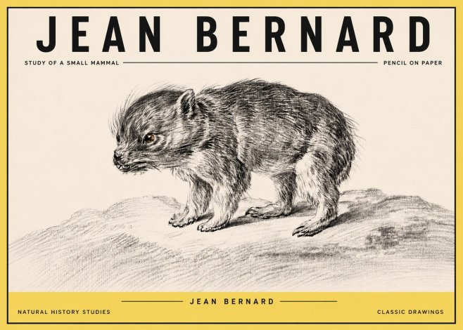Jean Bernard Study of a Small Mammal No4 - Juliste