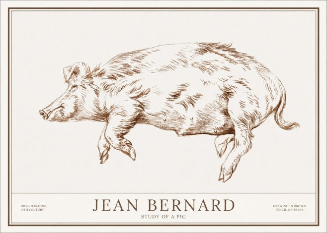 Jean Bernard Study of a Pig II No1 - Juliste