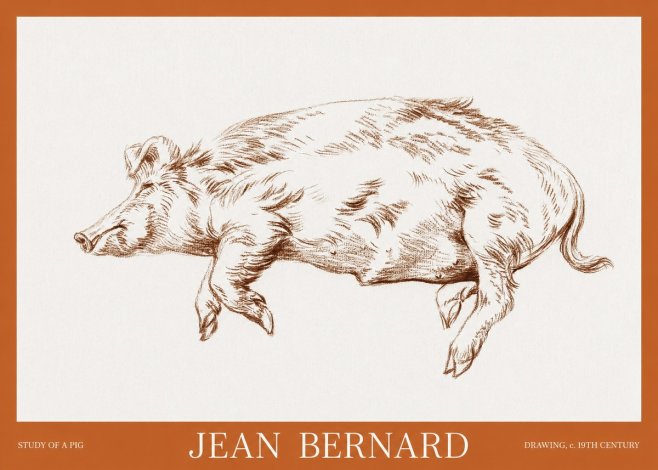Jean Bernard Study of a Pig II No6 - Juliste