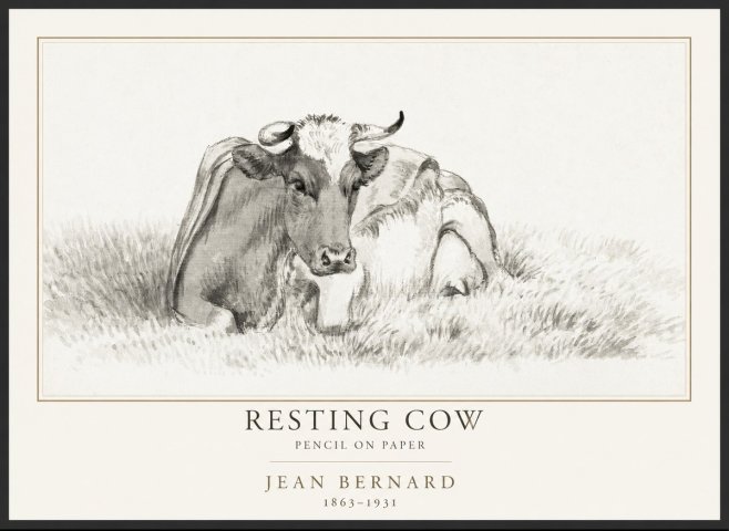 Jean Bernard Resting Cow IV No1 - Juliste