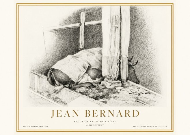 Jean Bernard The Resting Ox No5 - Juliste