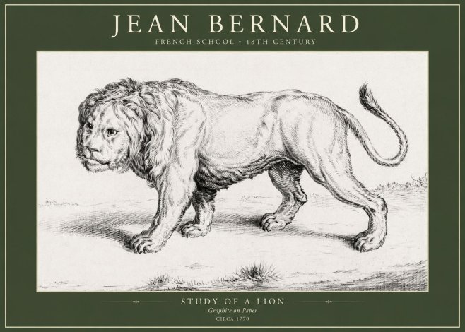 Jean Bernard Study of a Lion II No5 - Juliste
