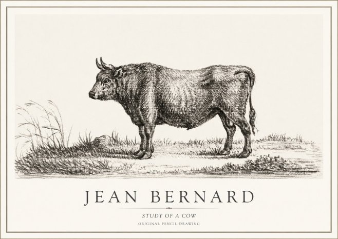 Jean Bernard Study of a Cow XIII No1 - Juliste
