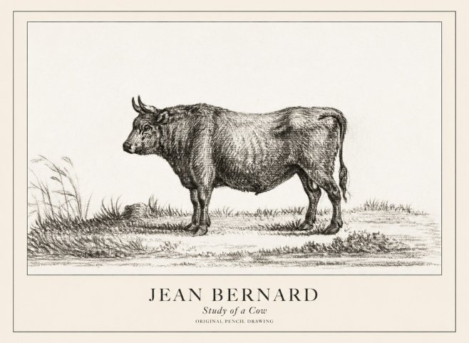 Jean Bernard Study of a Cow XIII No3 - Juliste