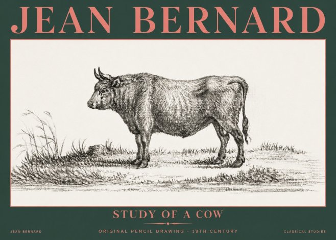 Jean Bernard Study of a Cow XIII No5 - Juliste