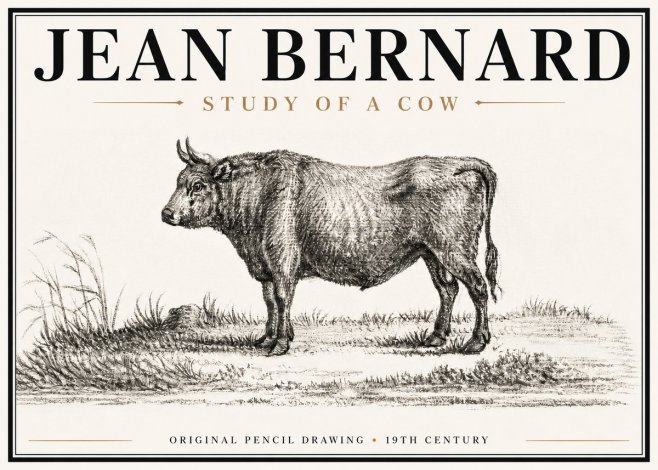 Jean Bernard Study of a Cow XIII No6 - Juliste