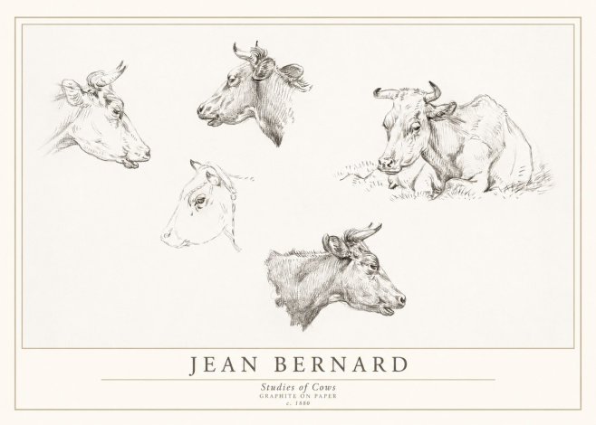 Jean Bernard Studies of Cows I No1 - Juliste