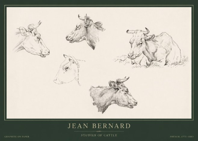 Jean Bernard Studies of Cows I No5 - Juliste