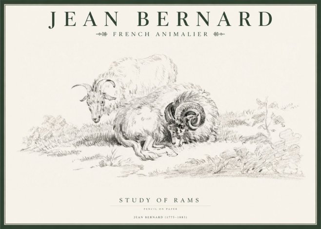 Jean Bernard Study of Sheep No2 - Juliste