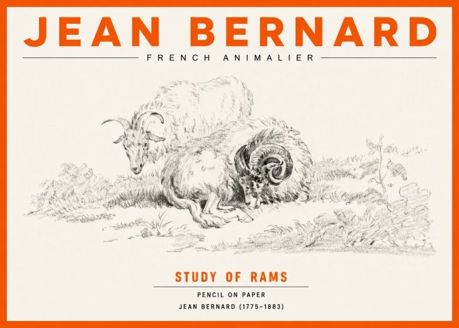 Jean Bernard Study of Sheep No3 - Juliste