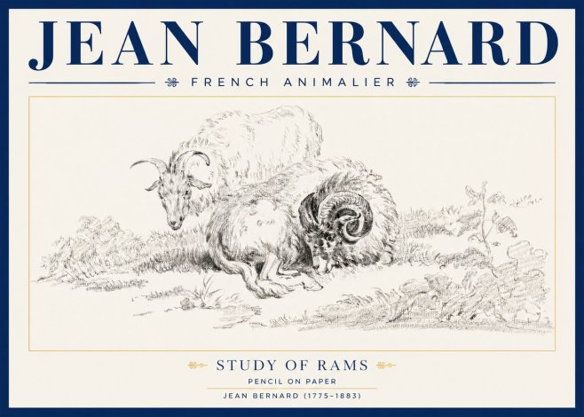 Jean Bernard Study of Sheep No4 - Juliste