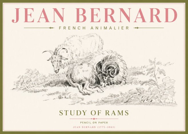Jean Bernard Study of Sheep No5 - Juliste