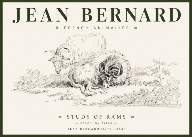 Jean Bernard Study of Sheep No6 - Juliste