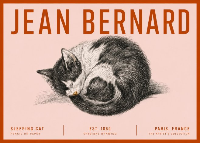 Jean Bernard Sleeping Cat VIII No5 - Juliste