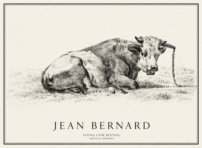 Jean Bernard Young Cow Resting No1 - Juliste