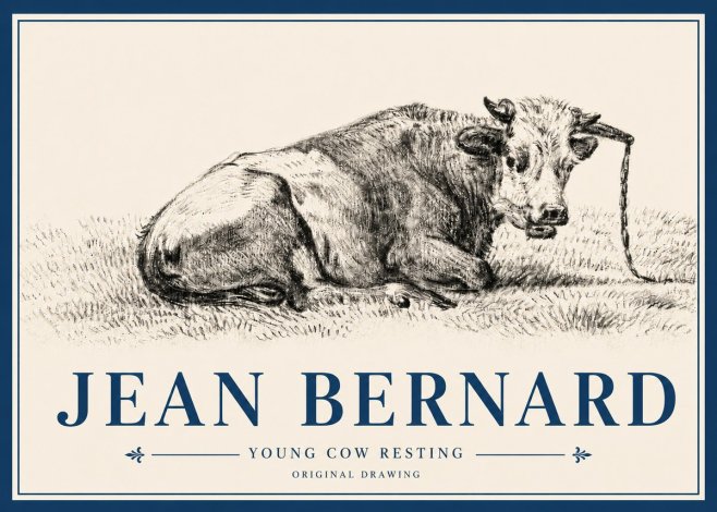 Jean Bernard Young Cow Resting No4 - Juliste