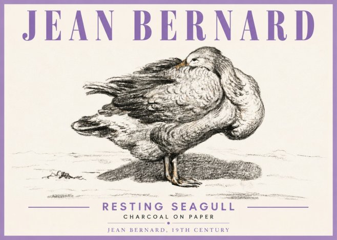 Jean Bernard Resting Seagull No6 - Juliste