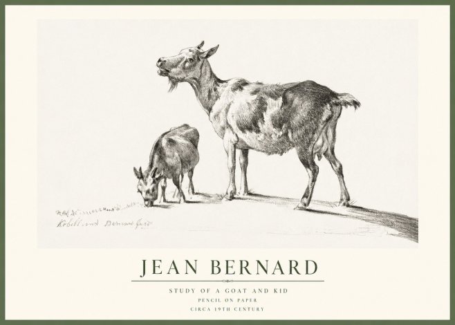 Jean Bernard Study of a Goat and Kid No1 - Juliste