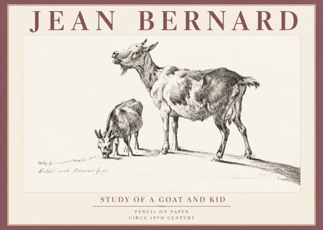 Jean Bernard Study of a Goat and Kid No5 - Juliste