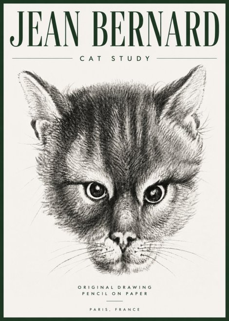 Jean Bernard Cat Study. Original Drawing No5 - Juliste