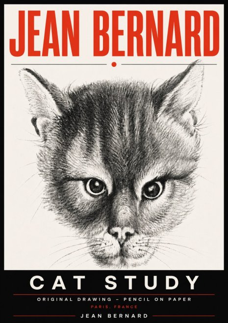 Jean Bernard Cat Study. Original Drawing No6 - Juliste